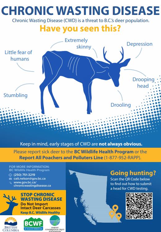 chronic-wasting-disease